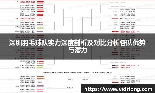 深圳羽毛球队实力深度剖析及对比分析各队优势与潜力